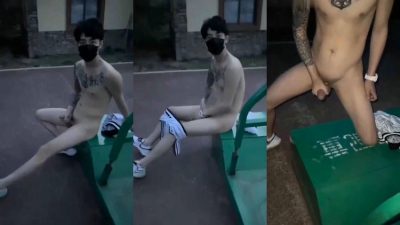 Sóc lọ trong công viên